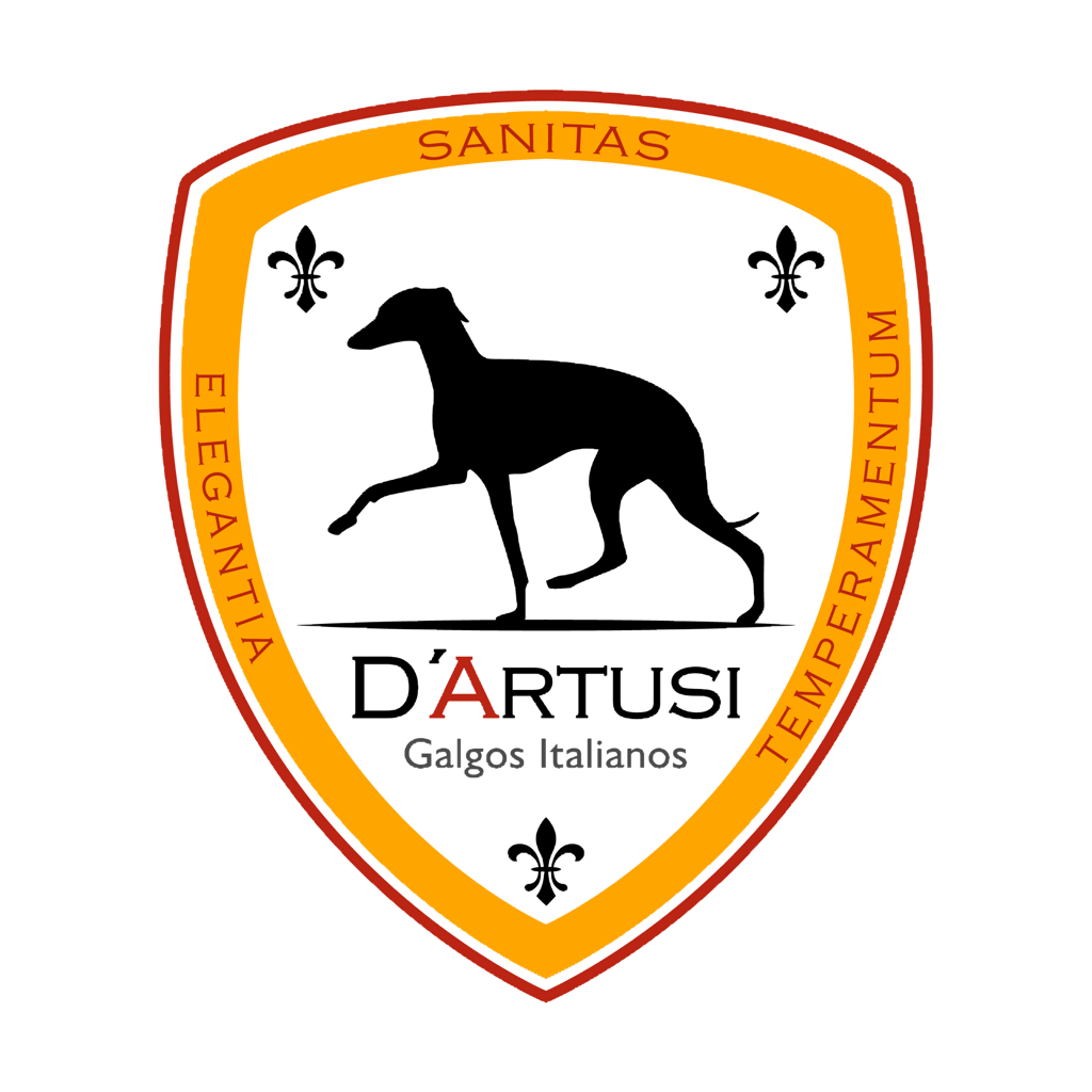 D'Artusi Logo
